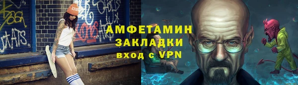 твердый Вяземский