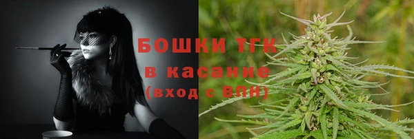 твердый Вяземский