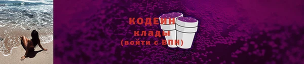 твердый Вяземский