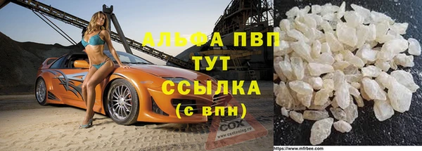 твердый Вяземский