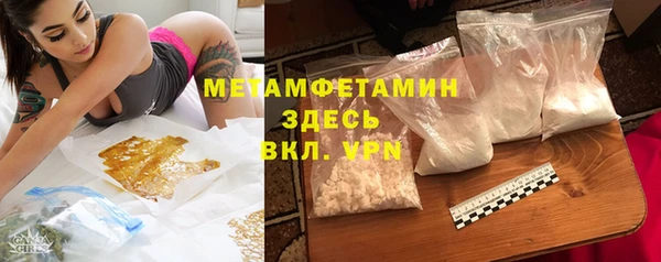 твердый Вяземский