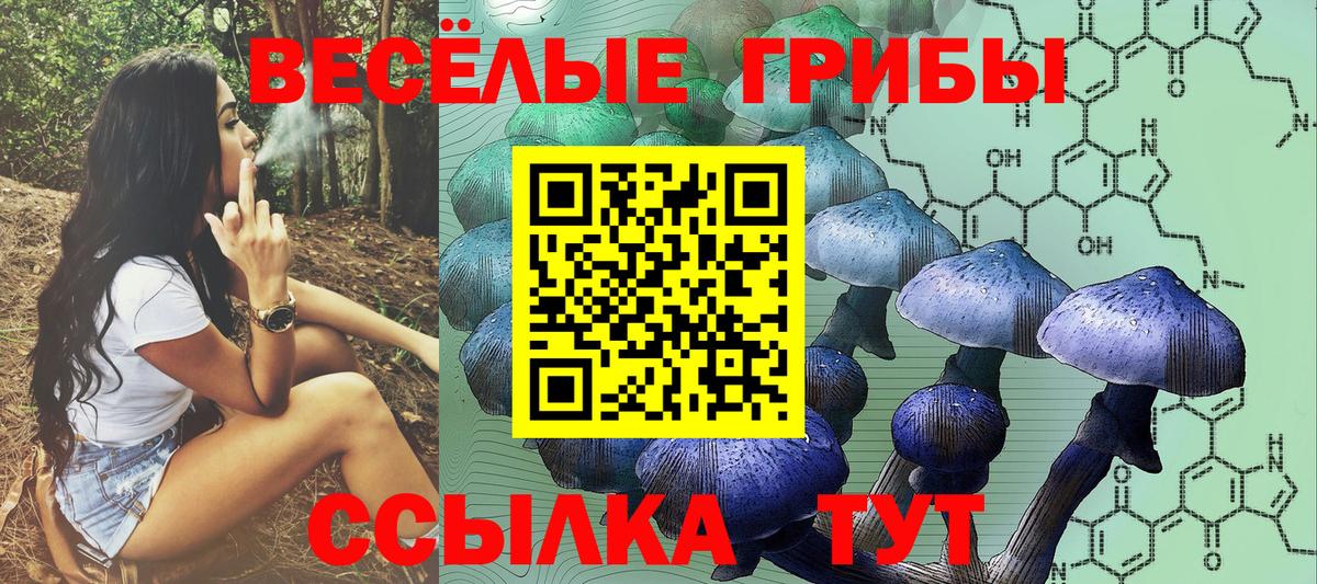 Галлюциногенные грибы GOLDEN TEACHER Боровичи