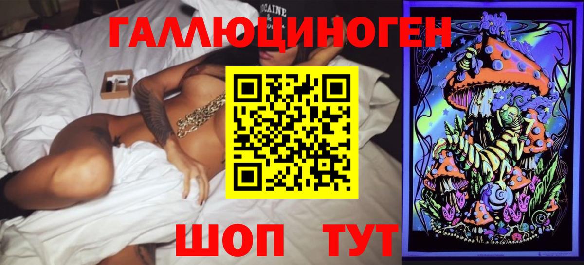 продажа наркотиков  Боровичи  Псилоцибиновые грибы GOLDEN TEACHER 