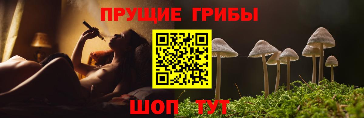 Галлюциногенные грибы прущие грибы  Вход с VPN  Боровичи 