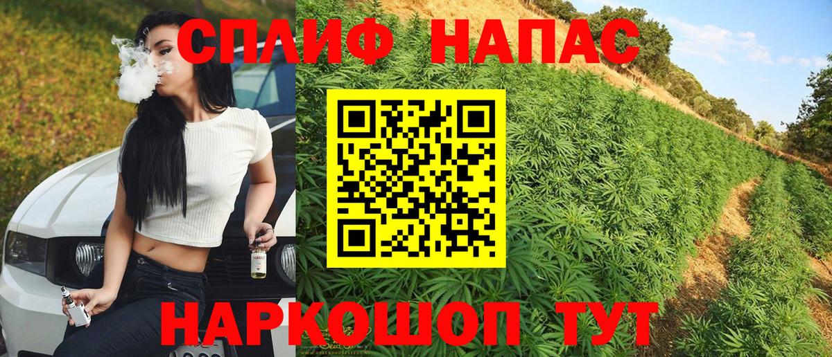 Бошки Шишки сатива  Марихуана индика  Боровичи  Каннабис Amnesia 